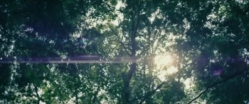 The Sea of Trees (2015) download